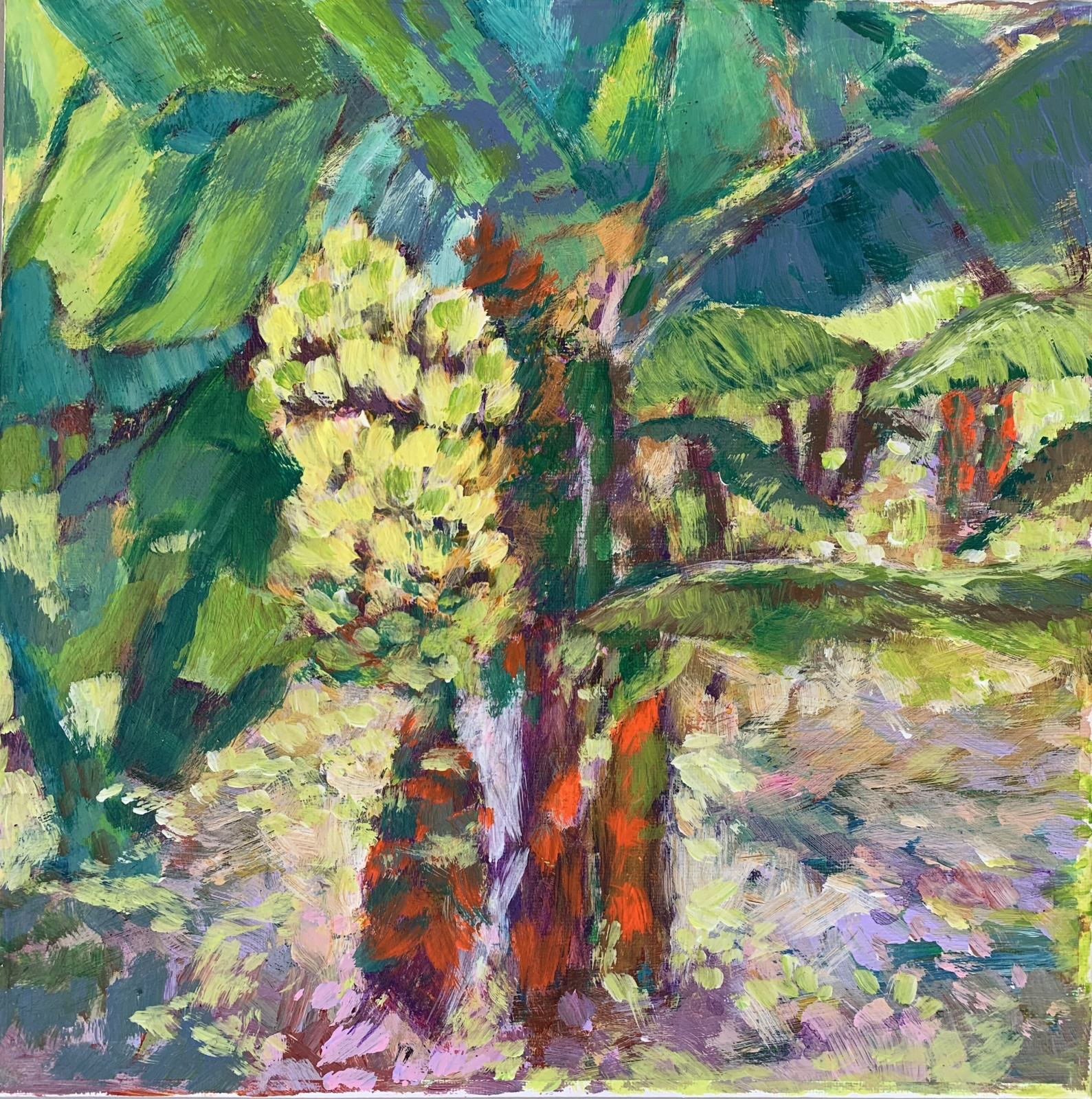 <p>#101 Under the Foliage</p>