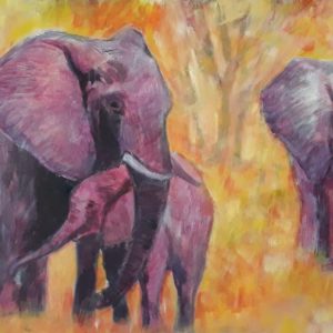 #67 Elephant Family