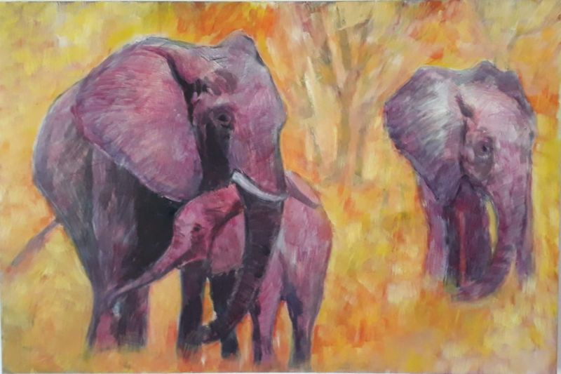 #67 Elephant Family