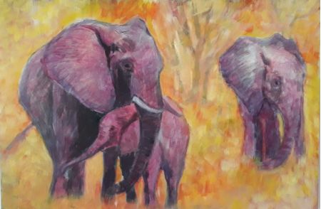 #67 Elephant Family