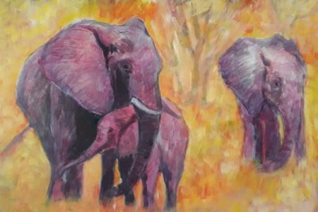#67 Elephant Family